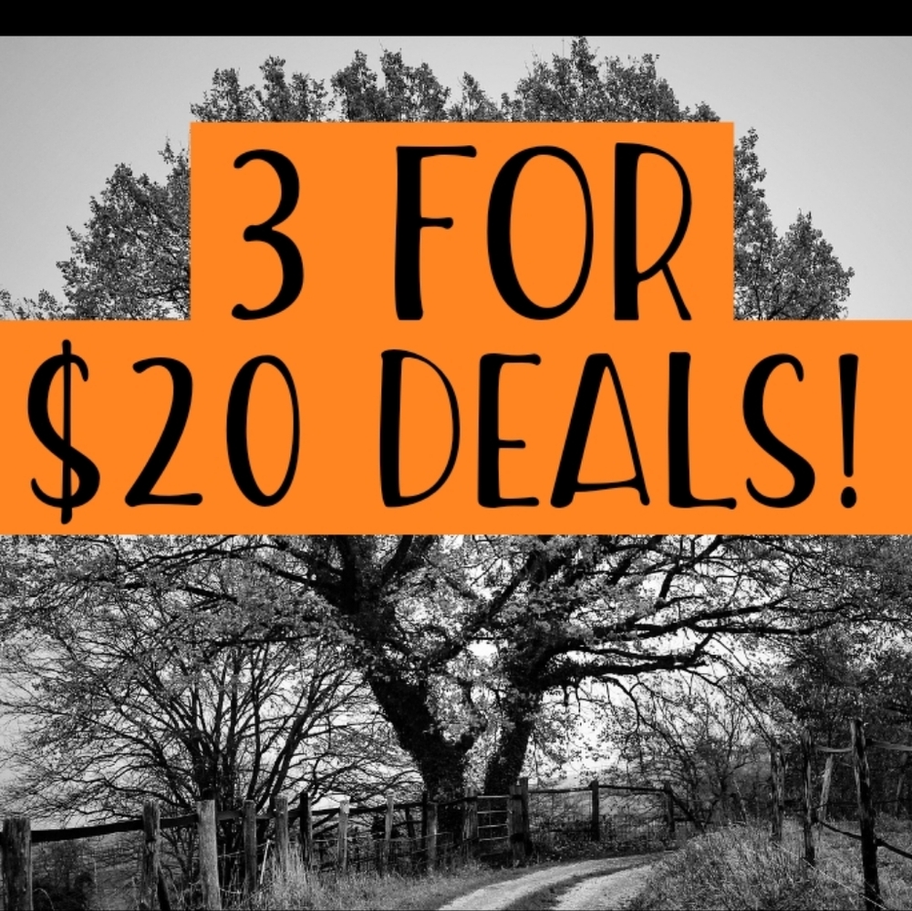 Bundle 3 Items With 💵3/$20 Symbol